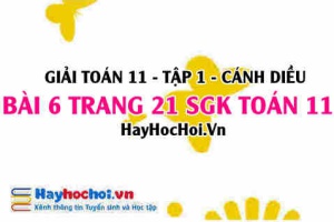 Giải bài 6 trang 21 Toán 11 tập 1 SGK Cánh Diều